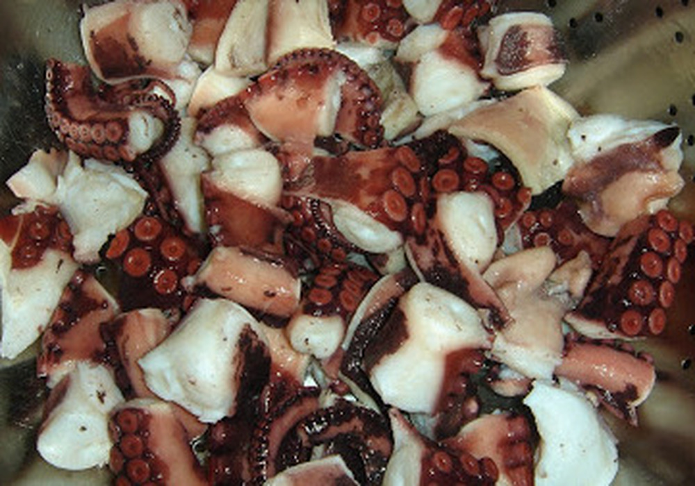 octopus toursi